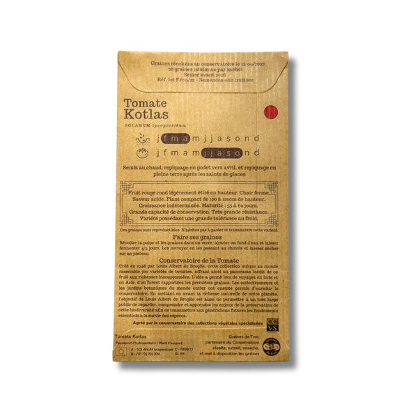 Graines de Tomates - Kotlas