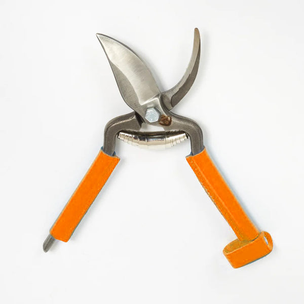 Sécateur carbone manche en cuir