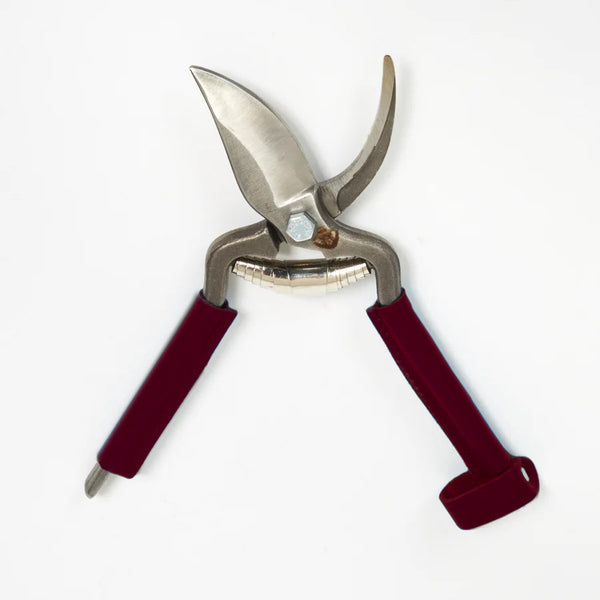 Sécateur carbone manche en cuir
