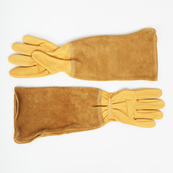 Musketeer Gloves