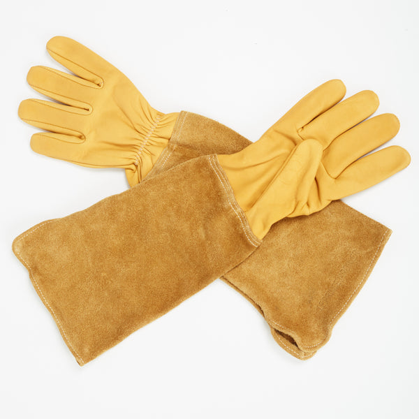Gants Mousquetaire