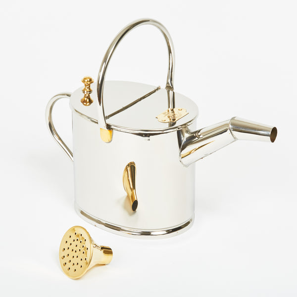 Stainless steel watering can