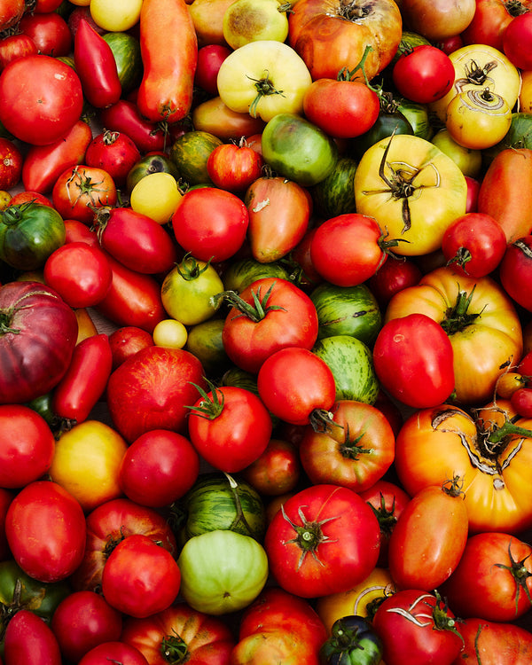 Tomate 