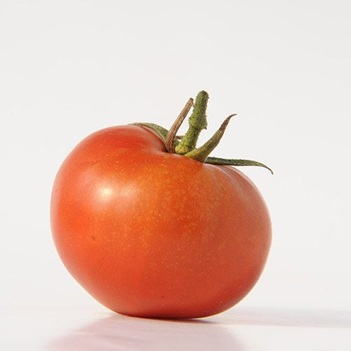Graines de Tomates - Columbia – Le Prince Jardinier