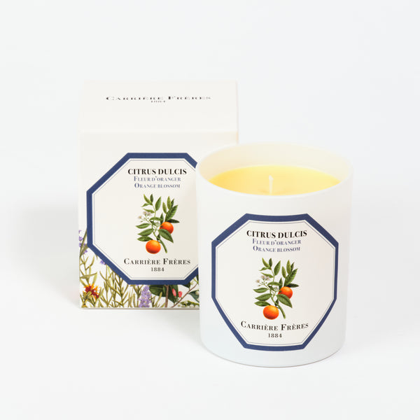 Carrière Frères 1884 candle - Citrus dulcis - Orange blossom