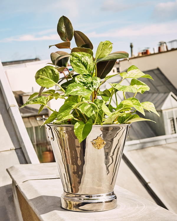 Stainless steel bucket