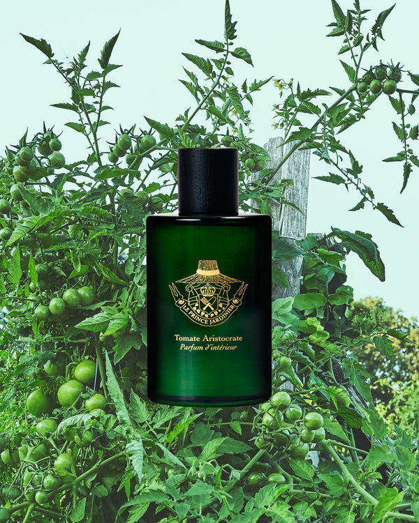 "Aristocratic Tomato" Room Fragrance
