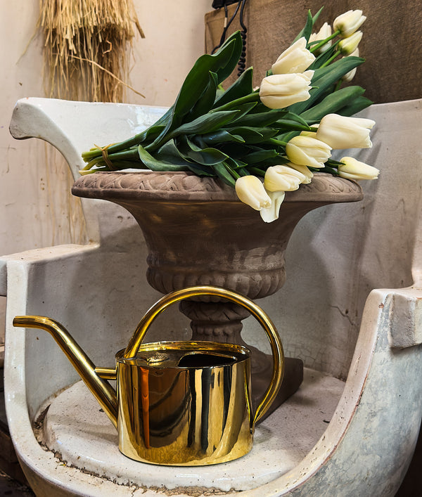 Brass watering can