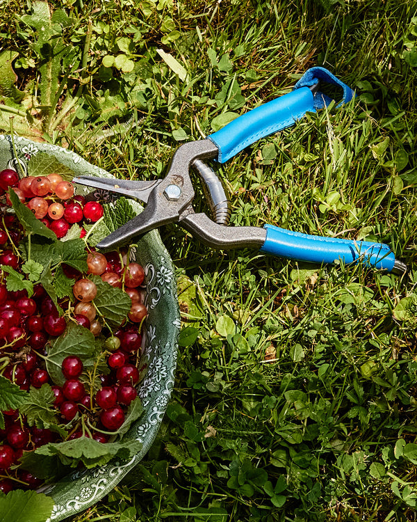Epinette carbone manche en cuir