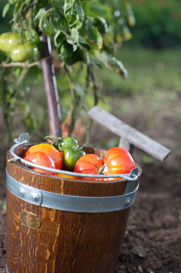 Oak wood bucket