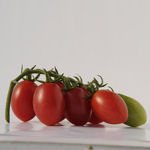 Tomato Seeds - Wealthy Frost Resistant
