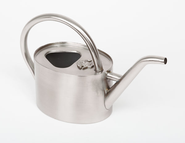 Matte silver watering can